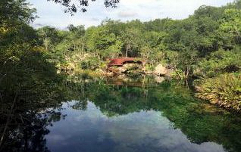Yucatan Halbinsel Cenoten Mexiko: Eden