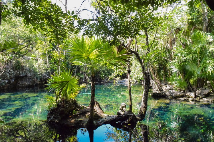 Riviera Maya Cenotes in Mexico: Chickin Ha