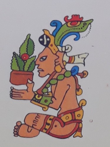 Yum Kaax Gods of the Maya: History