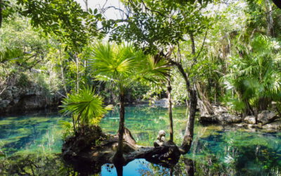 Cenotes in Mexico