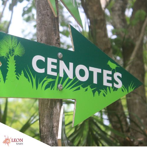 Tour Tulum excursion and cenotes