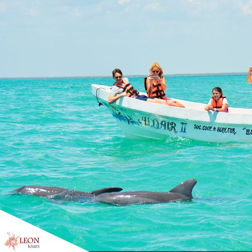 Dolphins Sian Kaan private excursion