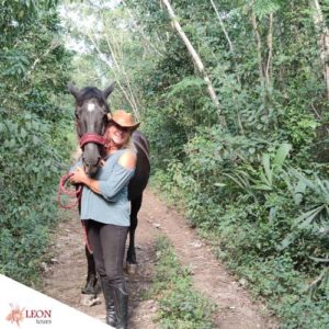Cozumel Dschungelwanderung: Pferd