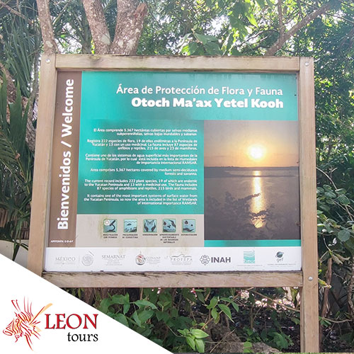 Punta Laguna und Coba Ausflüge Affenreservat
